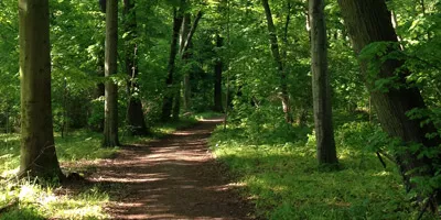 Beratung und Begleitung