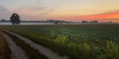 Kinder im Straßenverkehr