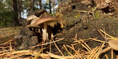 Kita als Wohlfühloase