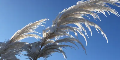 Bindungsbegleitung & SAFE – Kurse